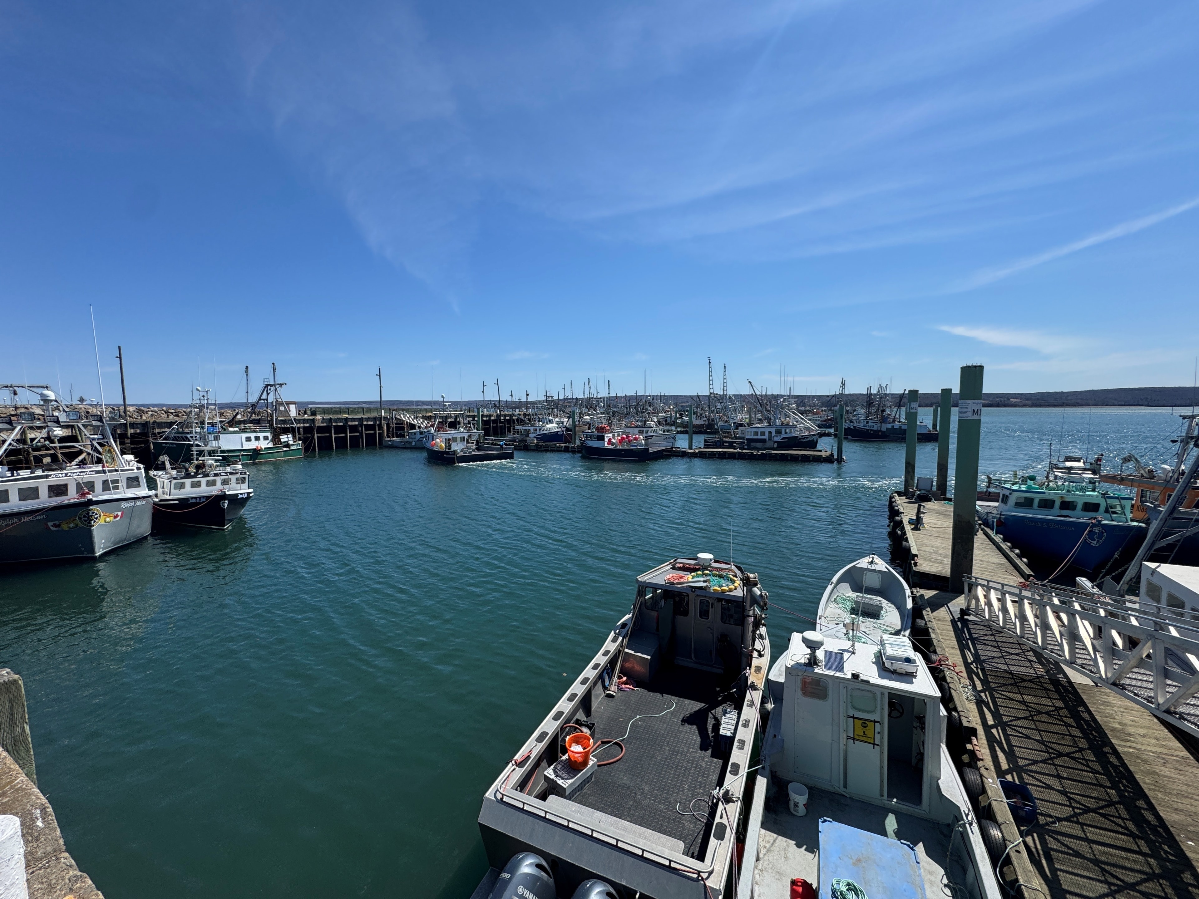 Busy fishing harbour with fleet of vessels docked on a sunny day