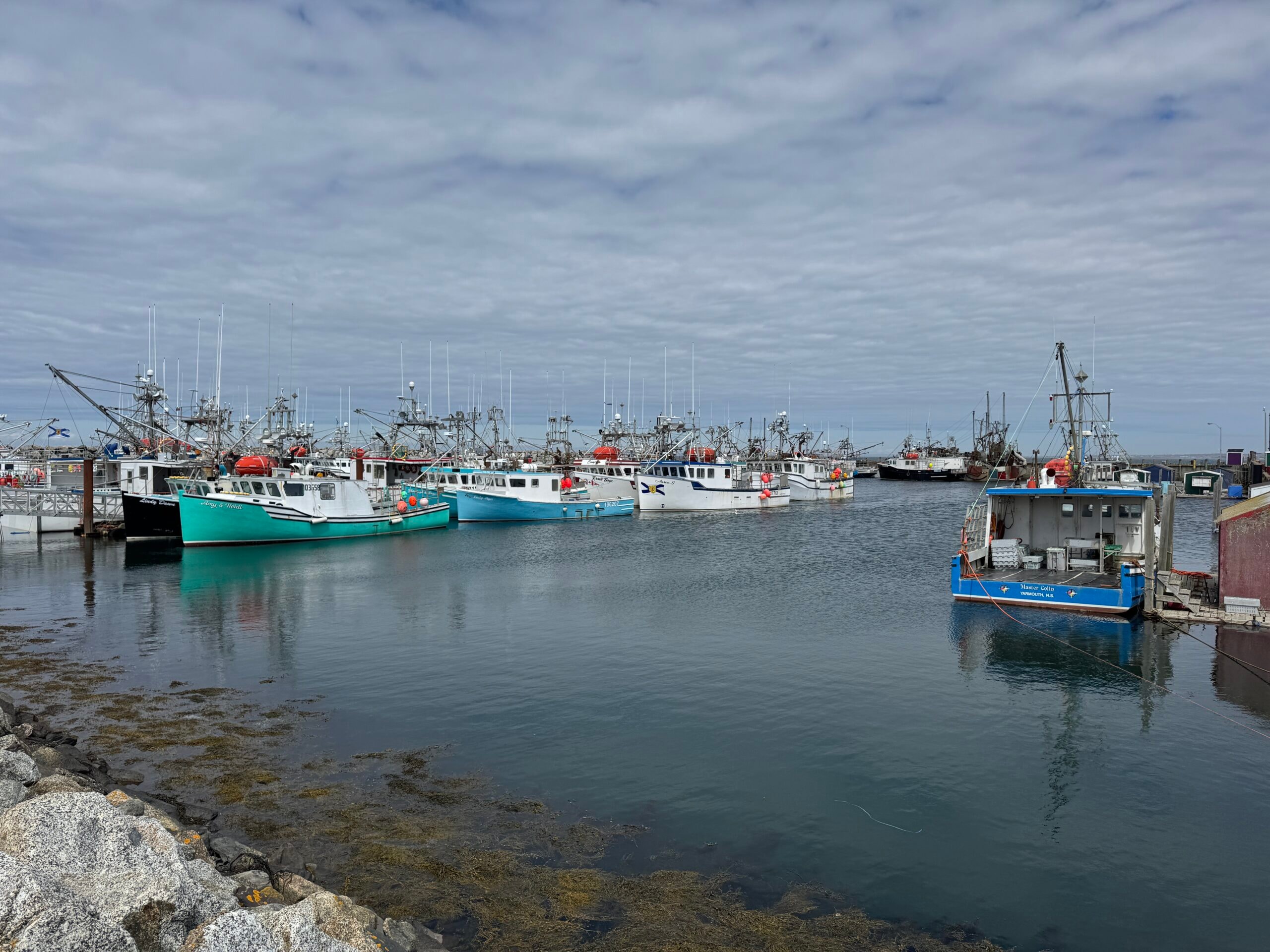 Moonlight Marine Services — fishing fleet at the dock