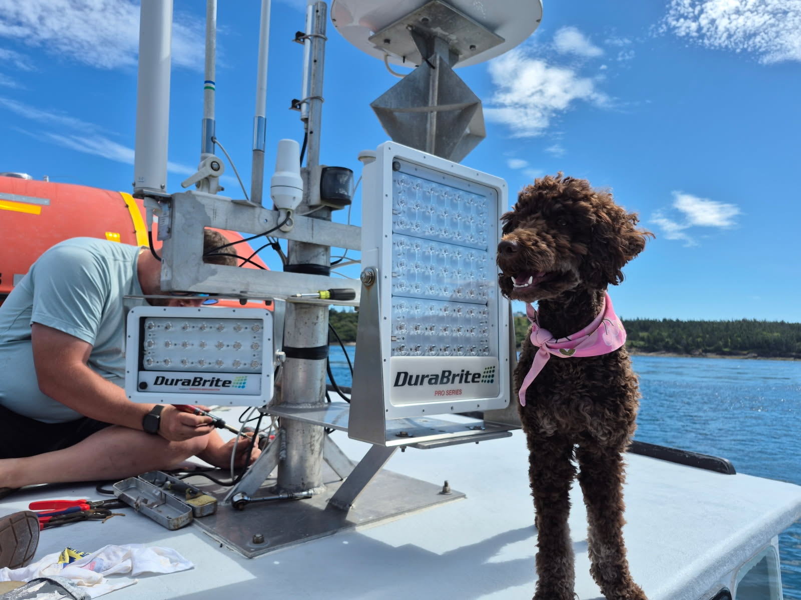 Moonlight Marine Services — marine services