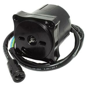 EMP TRIM MOTOR 300-55545